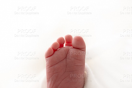 Newborn Baby | Adeline