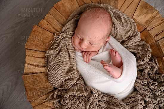 Newborn Baby | Theodore