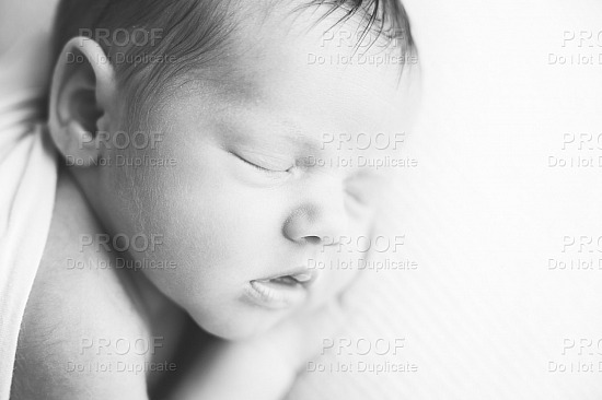 Newborn Baby | Eloise